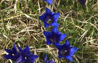 Romantische 5-Sterne- Ferienwohnungen - Foto 58