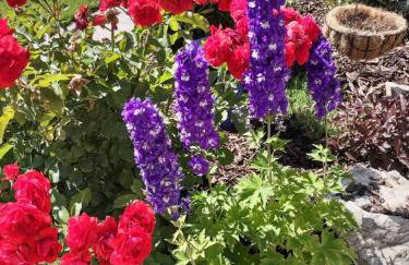 Farmington Gem, fenced yard, sleeps 6 - Foto 43