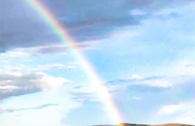 Accessible Bungalow - 4 Beds 2 Baths -dog Friendly - Foto 22