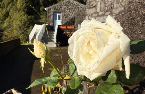 Casa das Duas Ribeiras - Photo 14