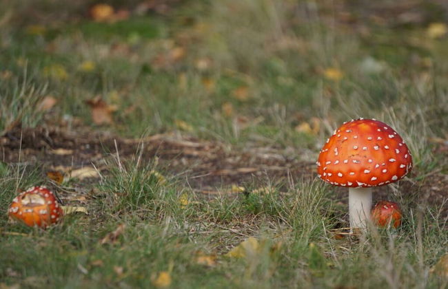 Meeresbraut Comfortable Holiday Residence - Photo 12