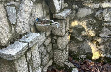 MOUNTAIN NEST - your fairytale escape - Foto 6