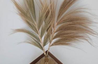 La petite bulle - Foto 12