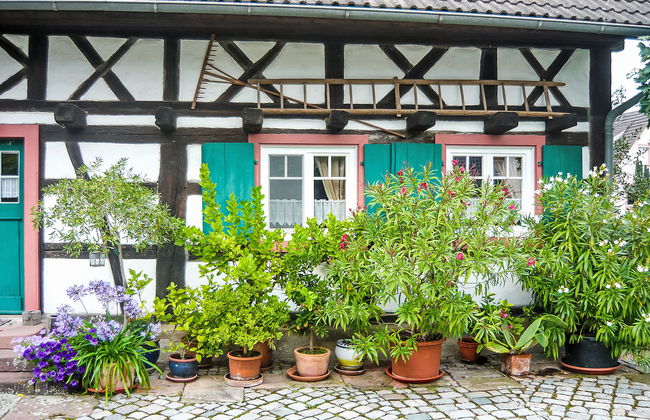 Haus Schwärzel - Foto 15