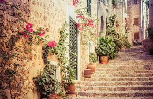 Finca Sa Tanqueta Rústica - Foto 38