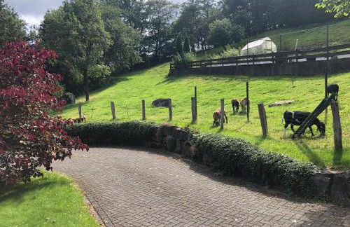 Ferienwohnung am Wald mit Garten & Hot-Tub & Alpakas - Foto 9