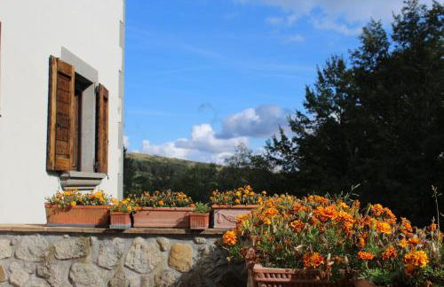 agriturismo trefossata - Foto 13