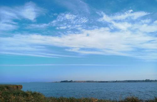 Fischstübchen Neeberg Apt 1 – Wald und Wiese - Foto 24
