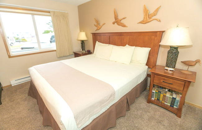 The Grey Gull - Foto 43