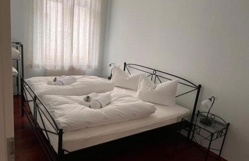 Villa 18 Boutique Apartment mit Gartenblick kostenfreies Parken Zoo und Zentrum fußläufig - Foto 4