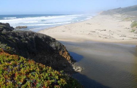 Pescadero Creek Inn - Foto 39