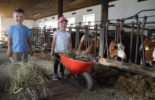 Ferienhof Altmann - Foto 37