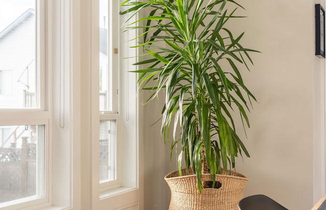 Luxury house with 3 bedrooms and 1 office - Photo 53