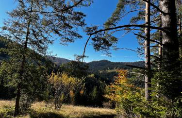 Domek do wynajęcia - Foto 27