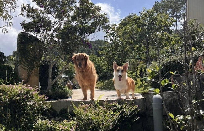 Scent Bungalow - Foto 36