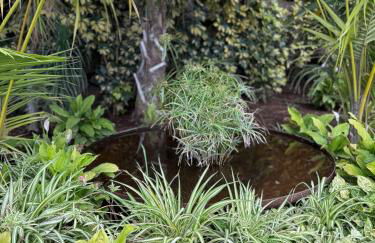 Villa Encanta - Foto 36