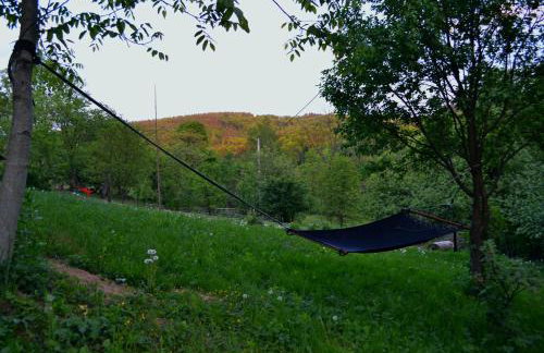 Na końcu świata - Foto 43