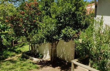 Alojamiento Rural el Seminario - Foto 12