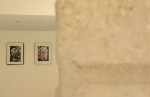 La Terrasse du Marché aux Fleurs - Foto 14