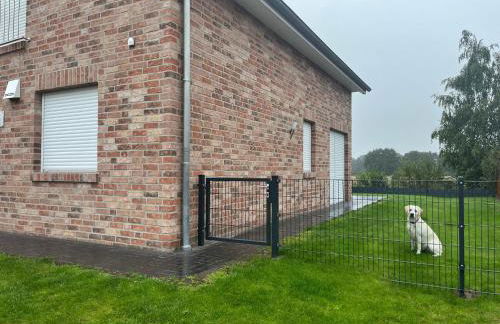 Ferienhaus Marinapark 147 - Foto 29