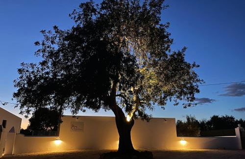 Monte Gerações - Complete House - Heated pool - Typical Algarvian - close to Quinta Lago Vale Lobo and Vilamoura - Foto 10