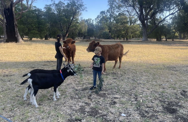 Stirling Estate Chalets - Foto 32