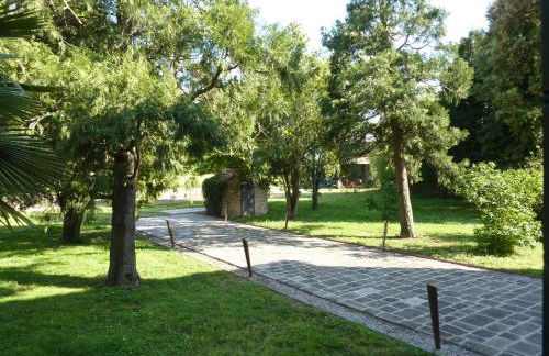 Azienda Agricola Marin - Foto 25