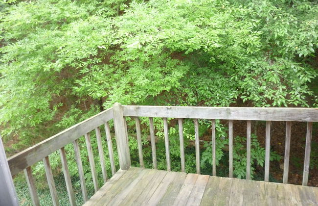 Chapel Hill InnTown - Foto 17