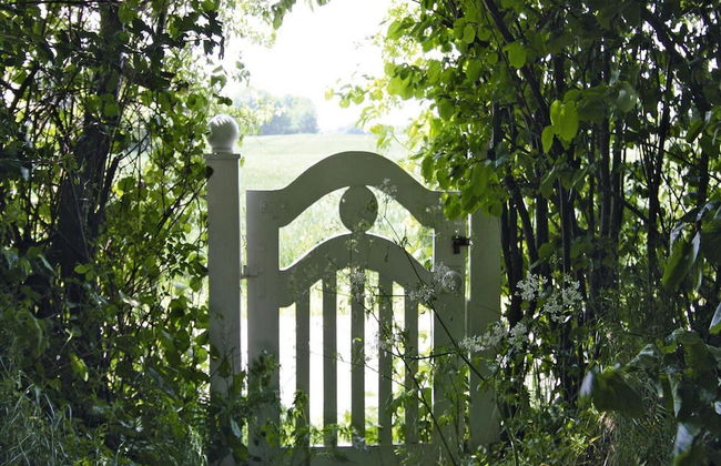 Cottage, Steam - Photo 60