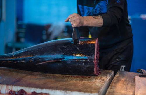 Donna Sofia House - Foto 39