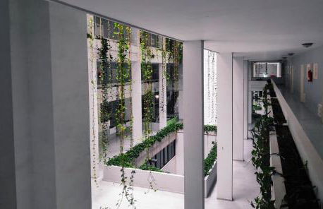 Sunset Lover Playa Jardin - Foto 48