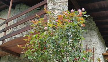 Casa delle Rose - Marmora - Foto 4