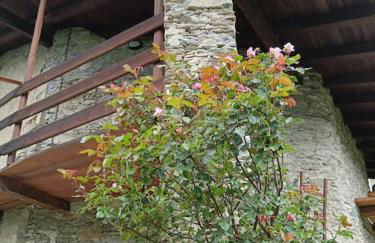 Casa delle Rose - Marmora - Photo 4