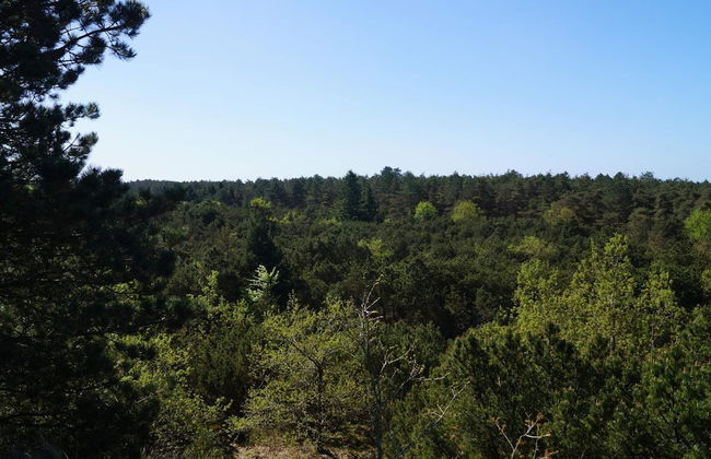 6 Person Holiday Home in Thyholm-by Traum - Photo 8