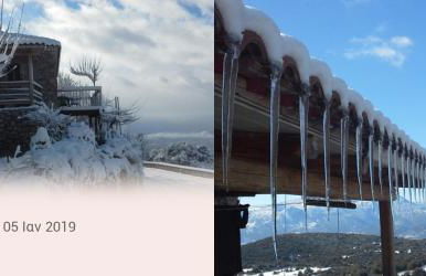 The Artist's House - Photo 35