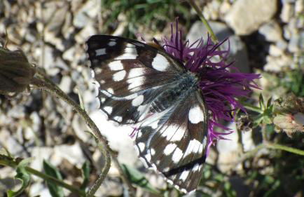 MaisonNel Gîte - Foto 33