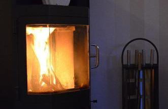 Großer Wattläufer - Foto 9