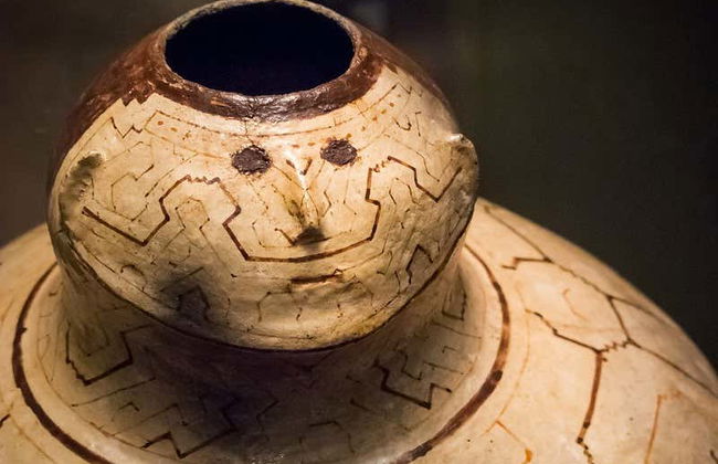 Visite du Parc Naturel de Pucallpa et du Musée Régional - Photo 5