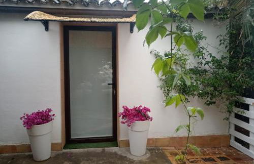 Mater Christi - Foto 2