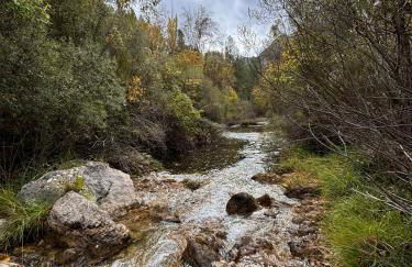 La Guijarroseña , Rio Madera - Foto 29