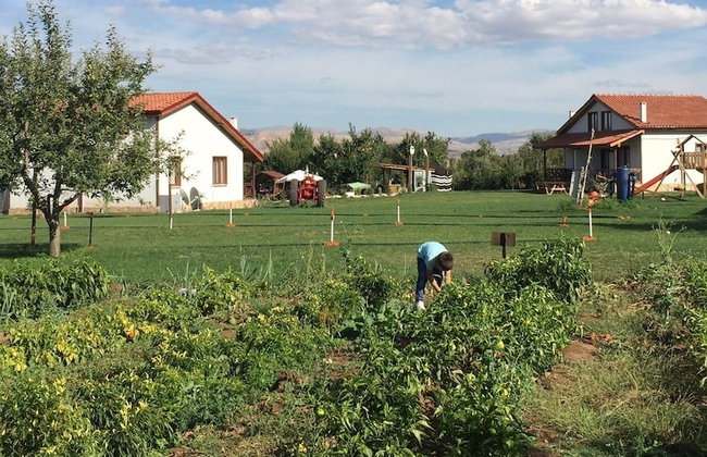 Tefenni Villas - Foto 64