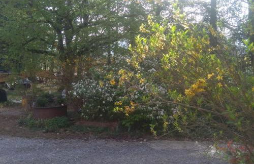 Appartement à la campagne - Foto 17