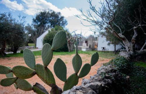 Trulli d'Estia - casa vacanze - Foto 28