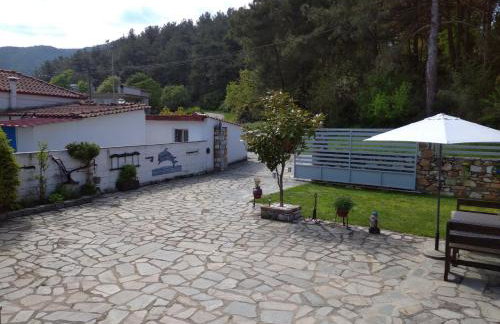 AMISIANA LITTLE BEAUTY NEXT TO NATURE - Foto 35