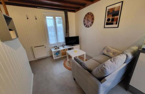 Charmant appartement au cœur du quartier St-Pierre - Foto 1