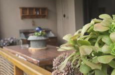 Les reflets du lac detente et nature à Genos-Loudenvieille classé 4 étoiles devant le lac avec jardin - Photo 4