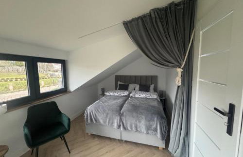 Borowe Apartamenty - Photo 67