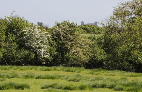 Goathland Cottage - Photo 48