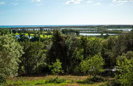 Quinta da Felicidade, Casa Estrela - Foto 26