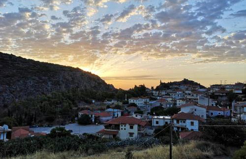 Village View - Photo 18